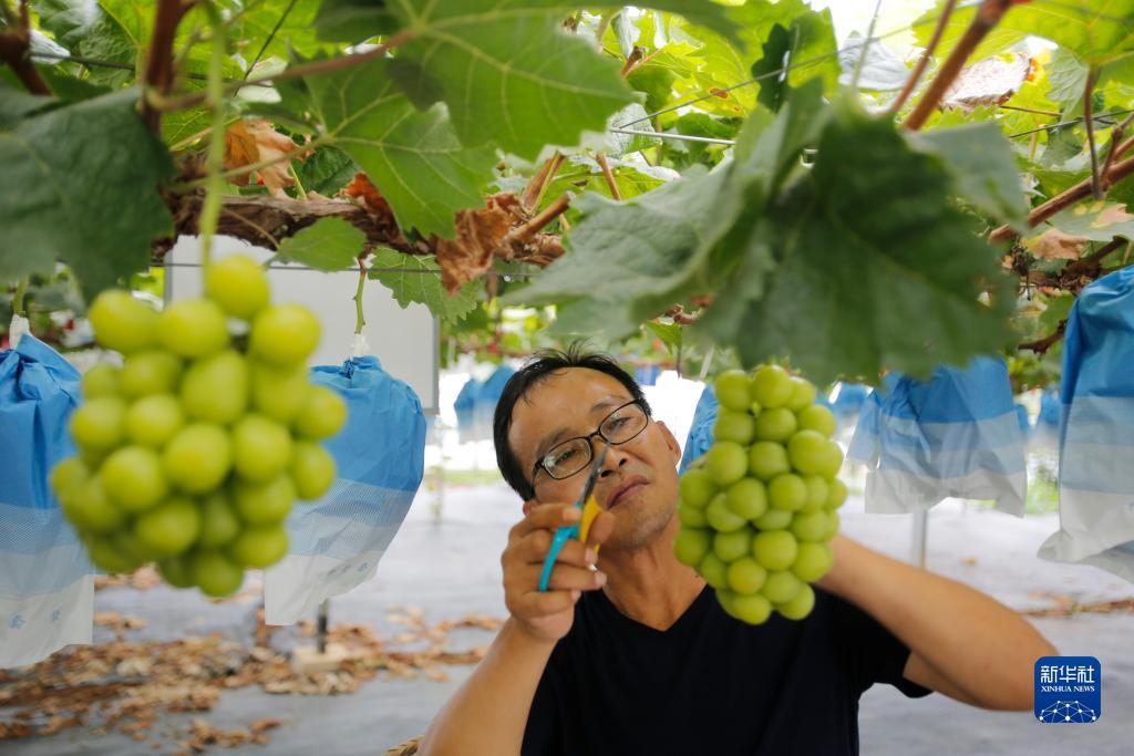太阳城游戏官网u