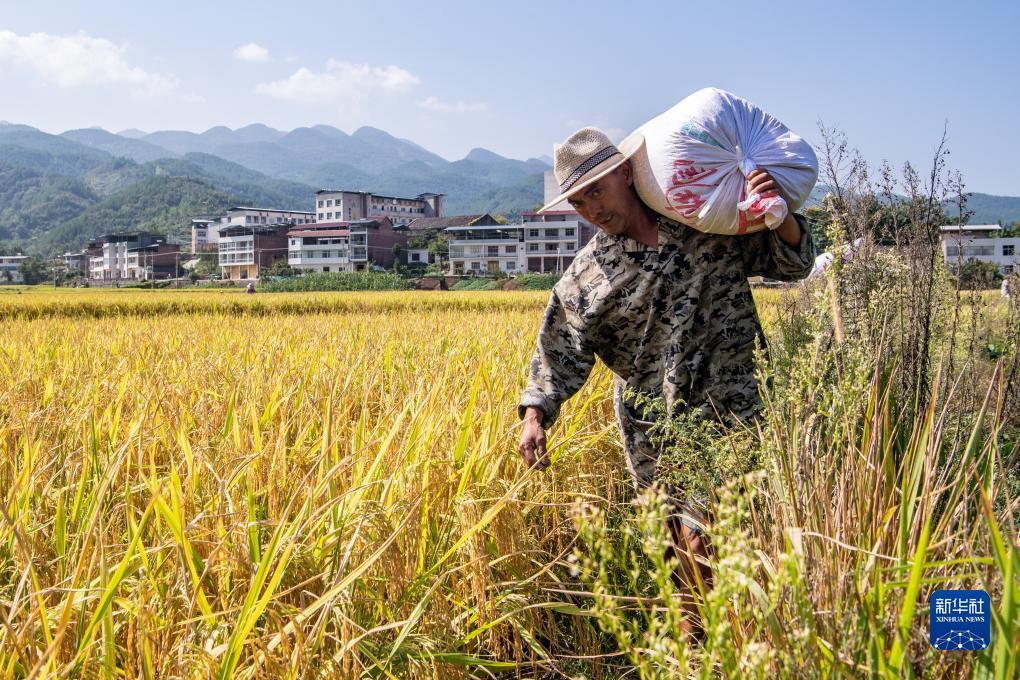 无需申请即送28元彩金